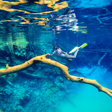 Biduk Snorkeling